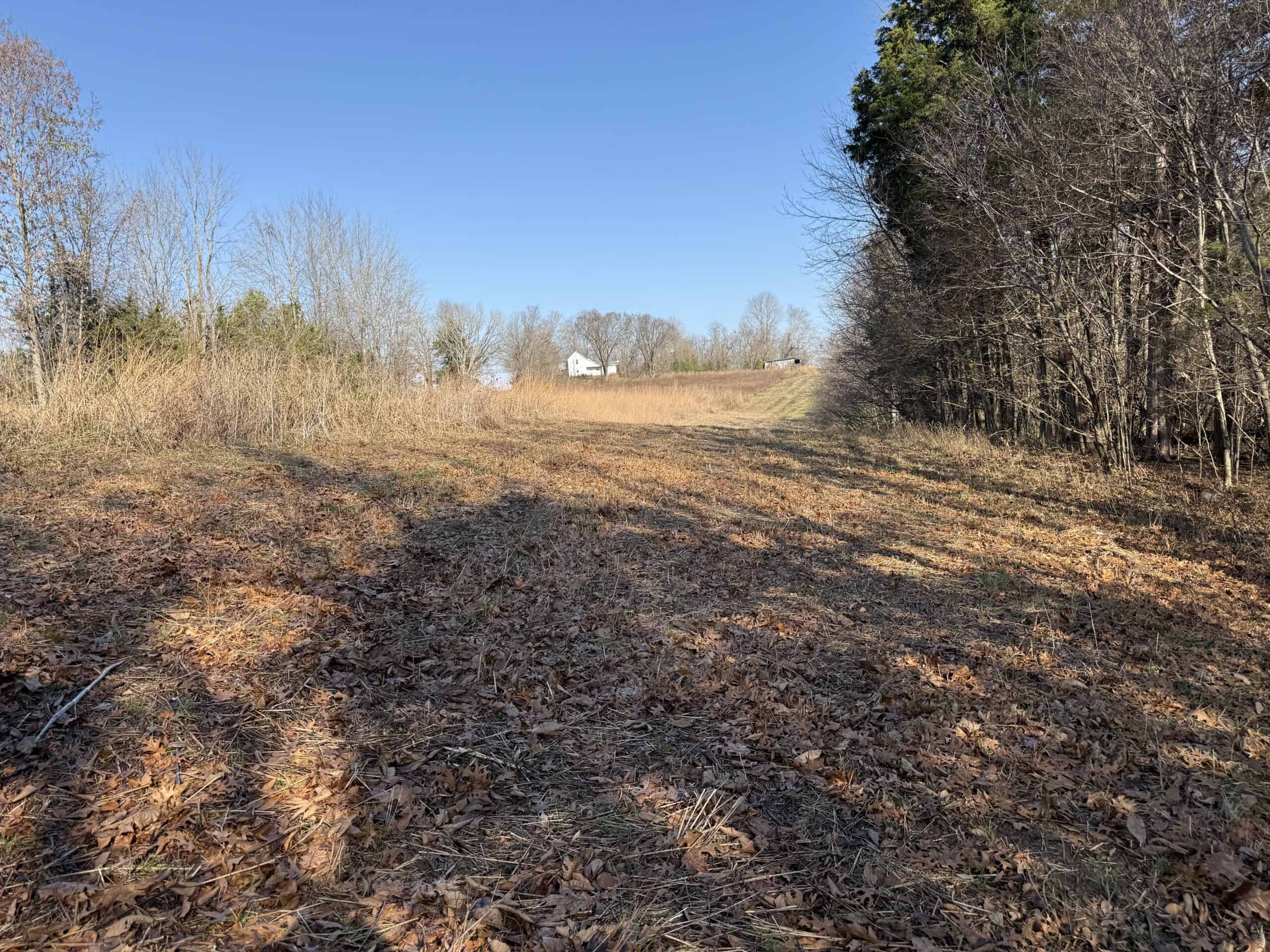 120 Acre Farm, Hunting Property, CREP Income, Creek Frontage