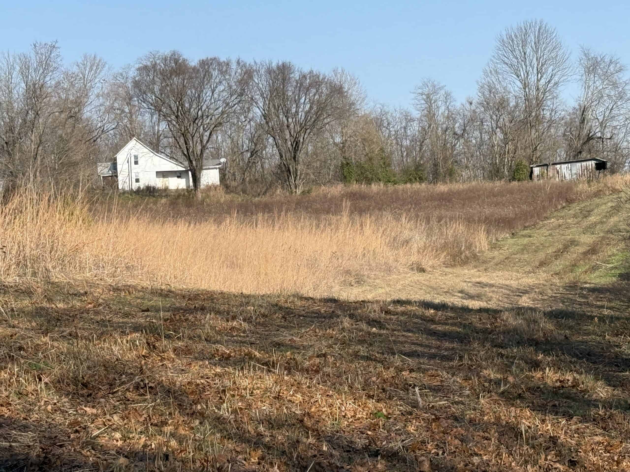 120 Acre Farm, Hunting Property, CREP Income, Creek Frontage