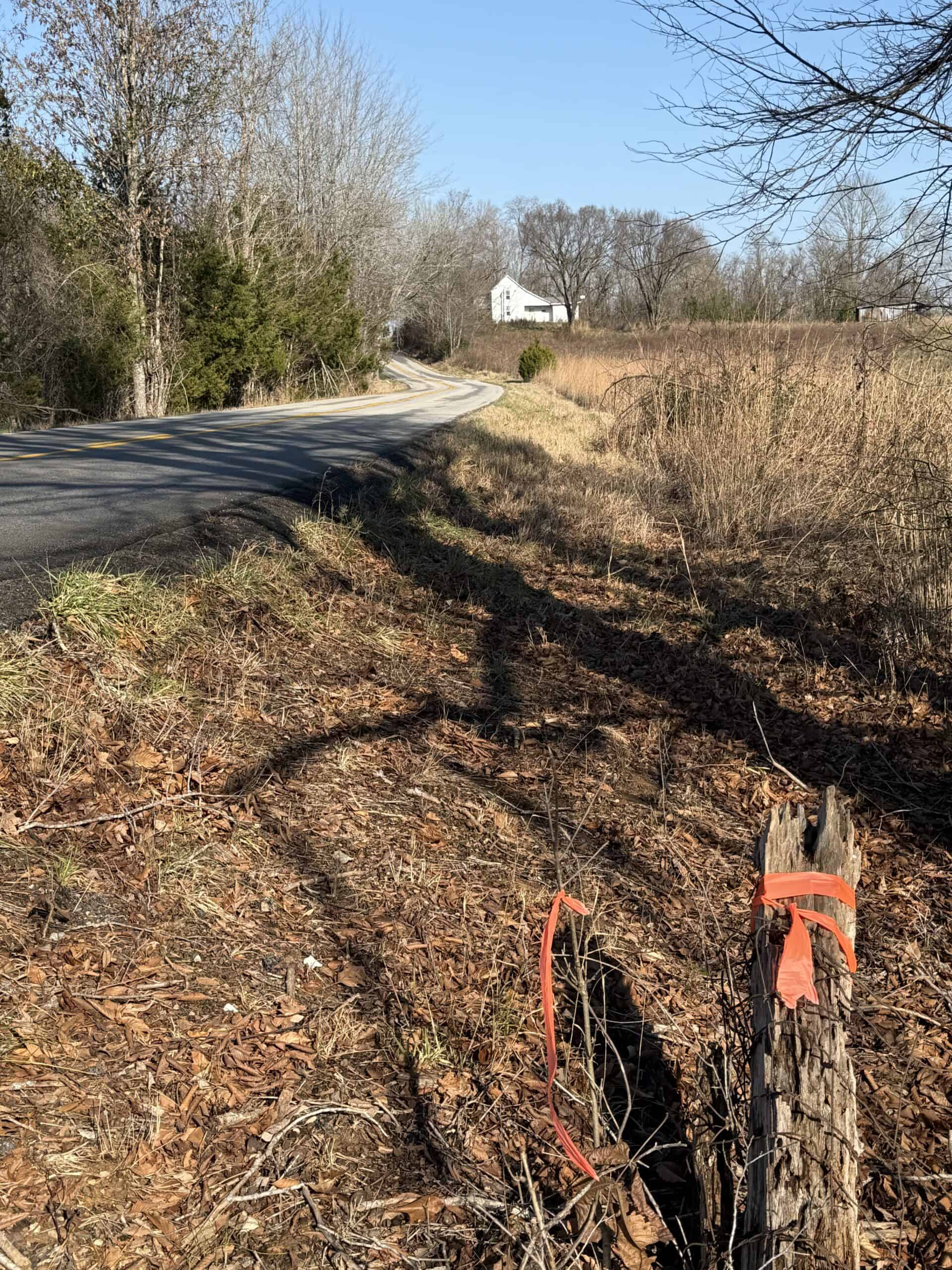 120 Acre Farm, Hunting Property, CREP Income, Creek Frontage