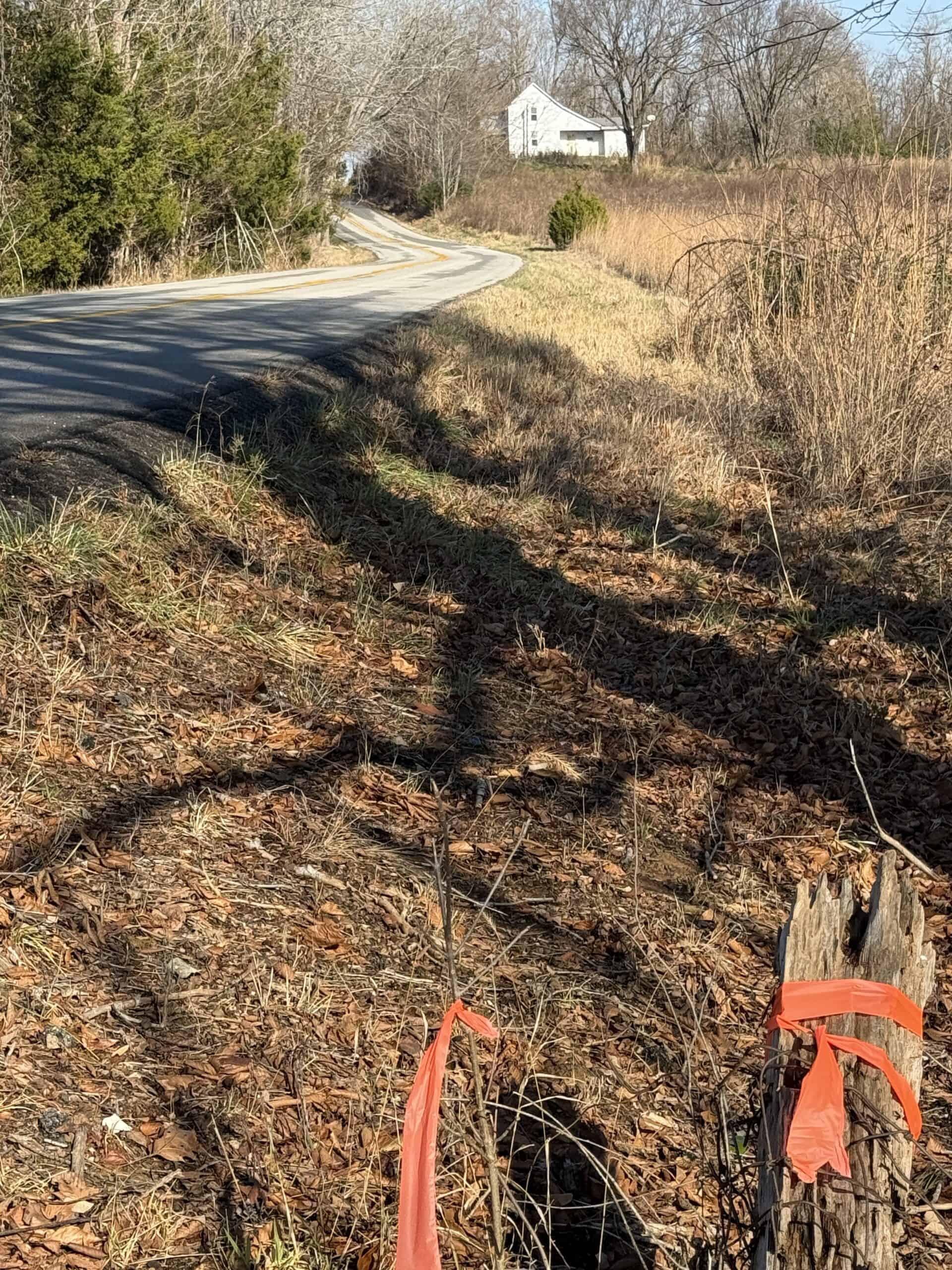 120 Acre Farm, Hunting Property, CREP Income, Creek Frontage