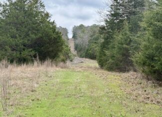 ARKANSAS HUNTING LAND FOR SALE IN NORTH CENTRAL ARKANSAS