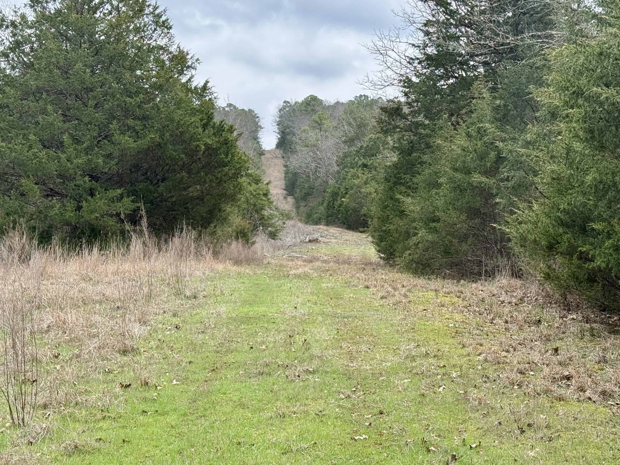 ARKANSAS HUNTING LAND FOR SALE IN NORTH CENTRAL ARKANSAS