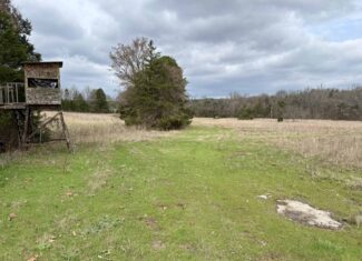 ARKANSAS HUNTING LAND FOR SALE IN NORTH CENTRAL ARKANSAS