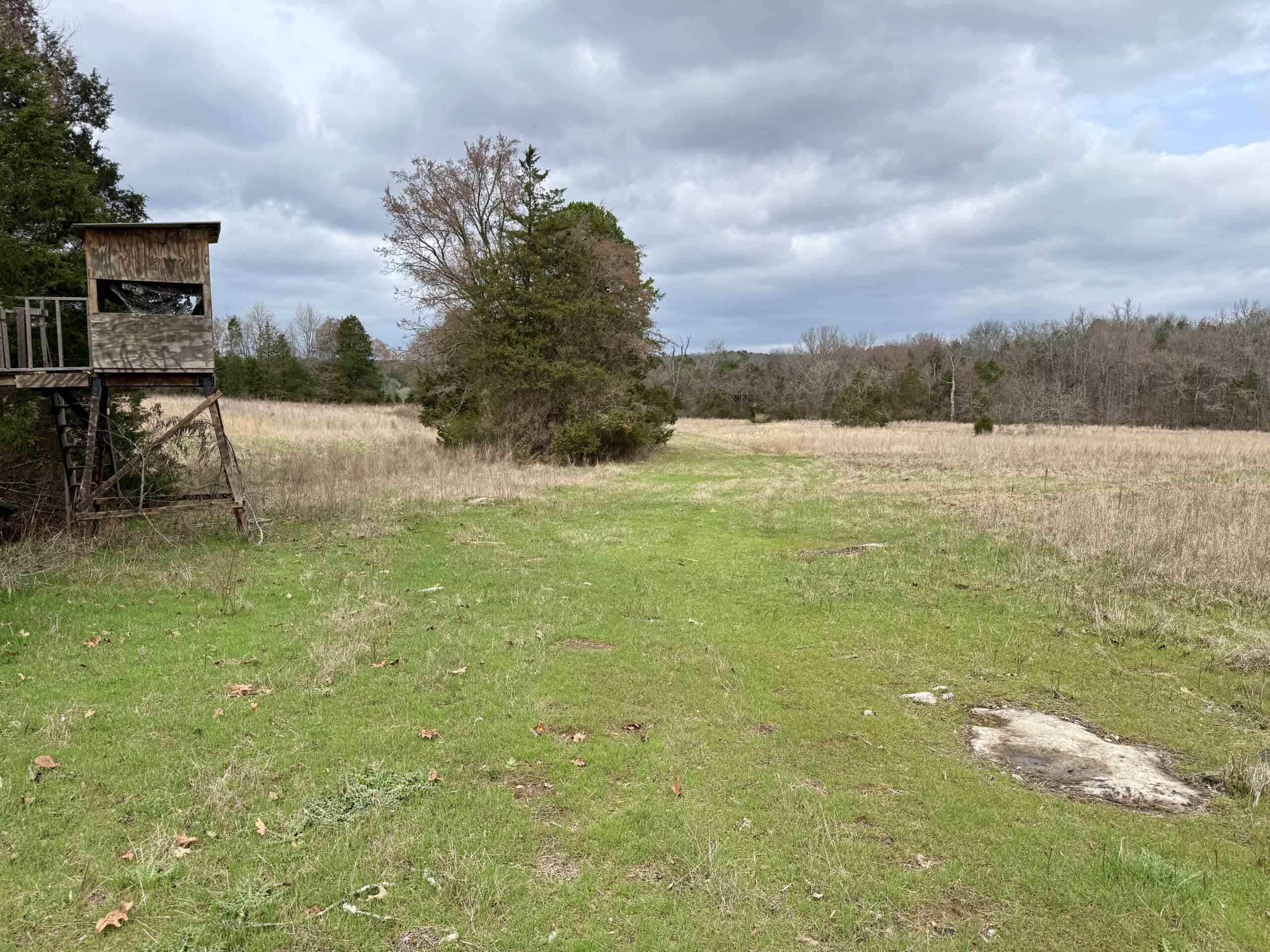 ARKANSAS HUNTING LAND FOR SALE IN NORTH CENTRAL ARKANSAS