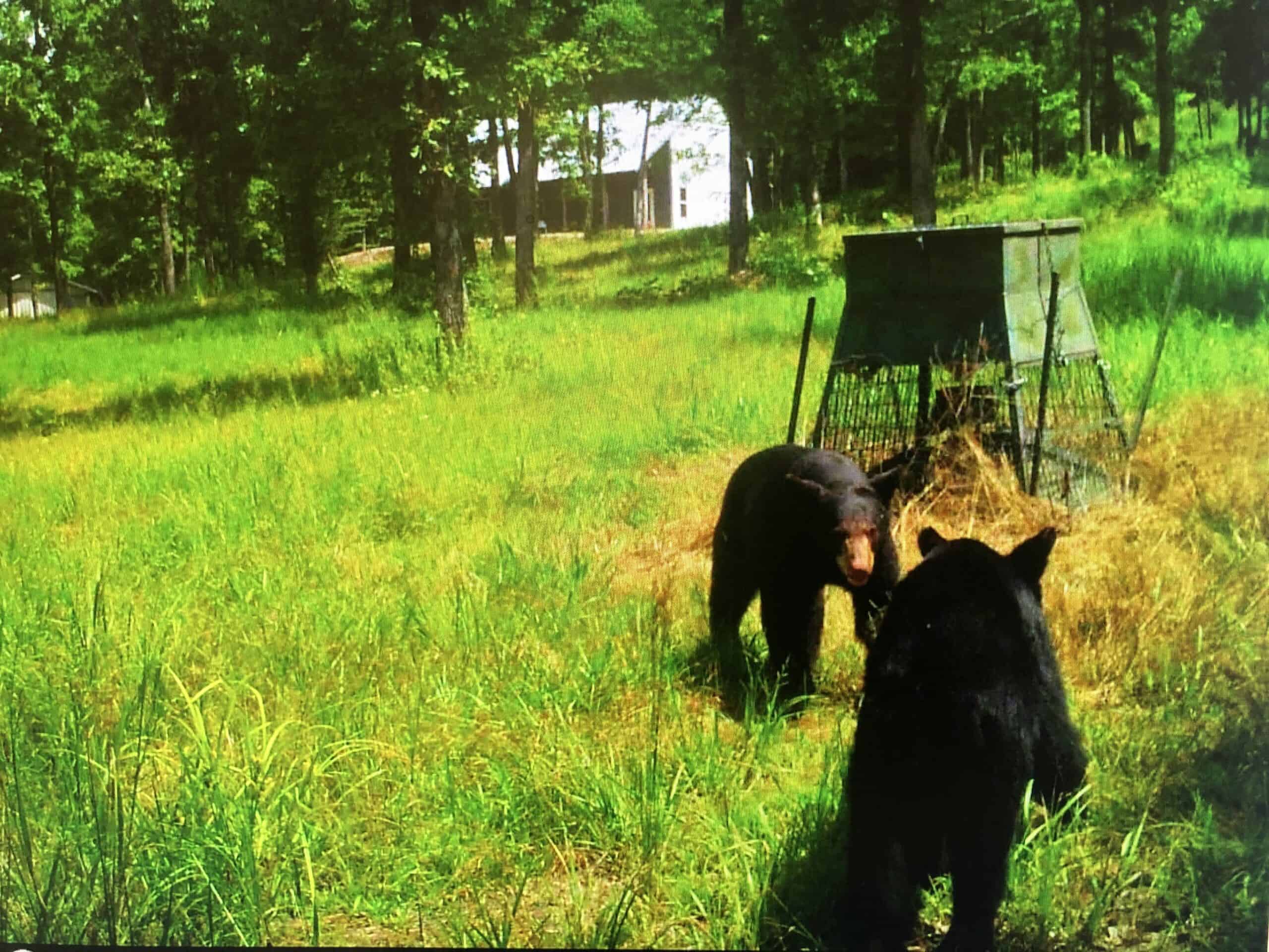 120+/- Acres Recreational Property For Sale in NWA