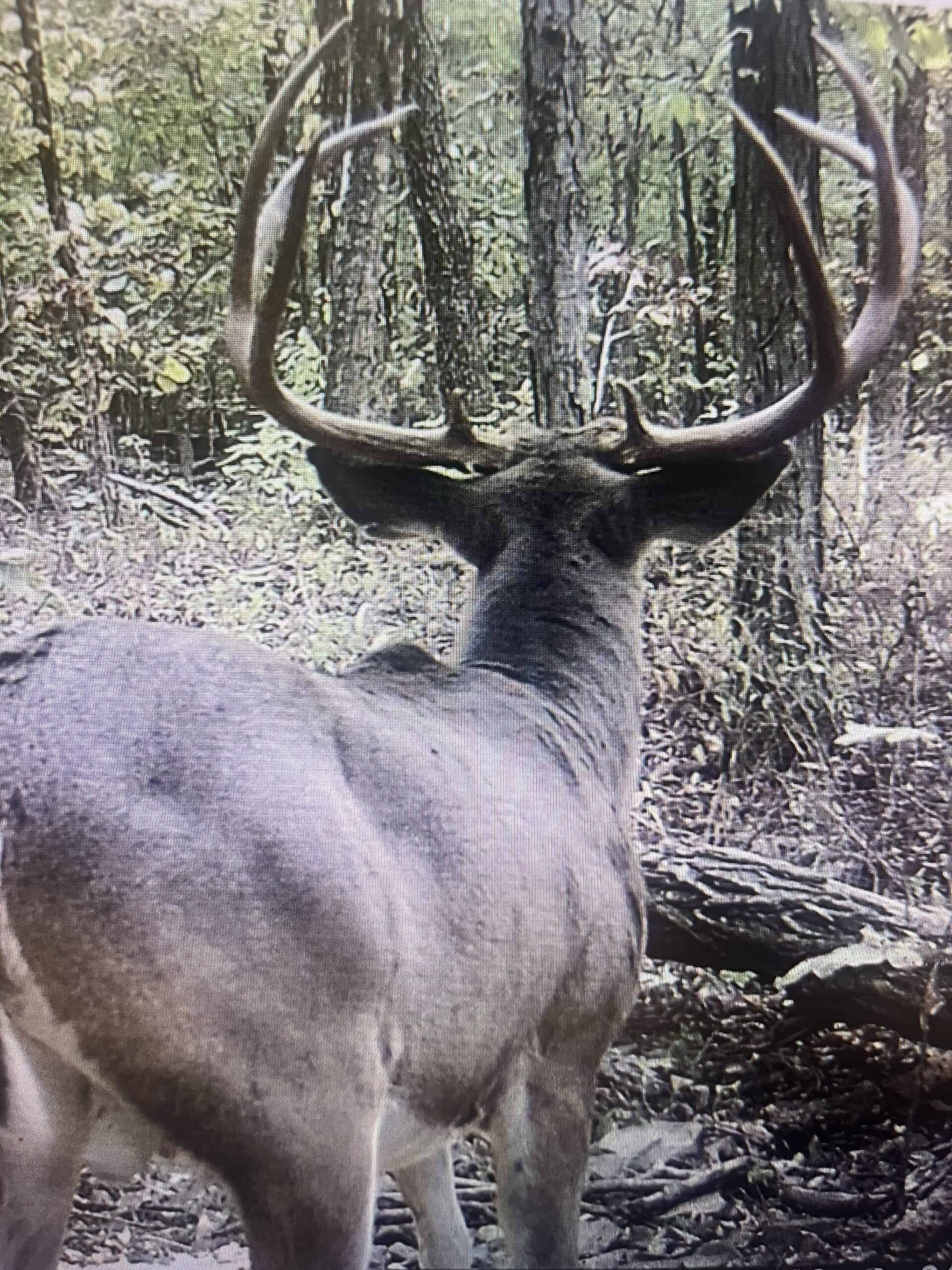 120+/- Acres Recreational Property For Sale in NWA