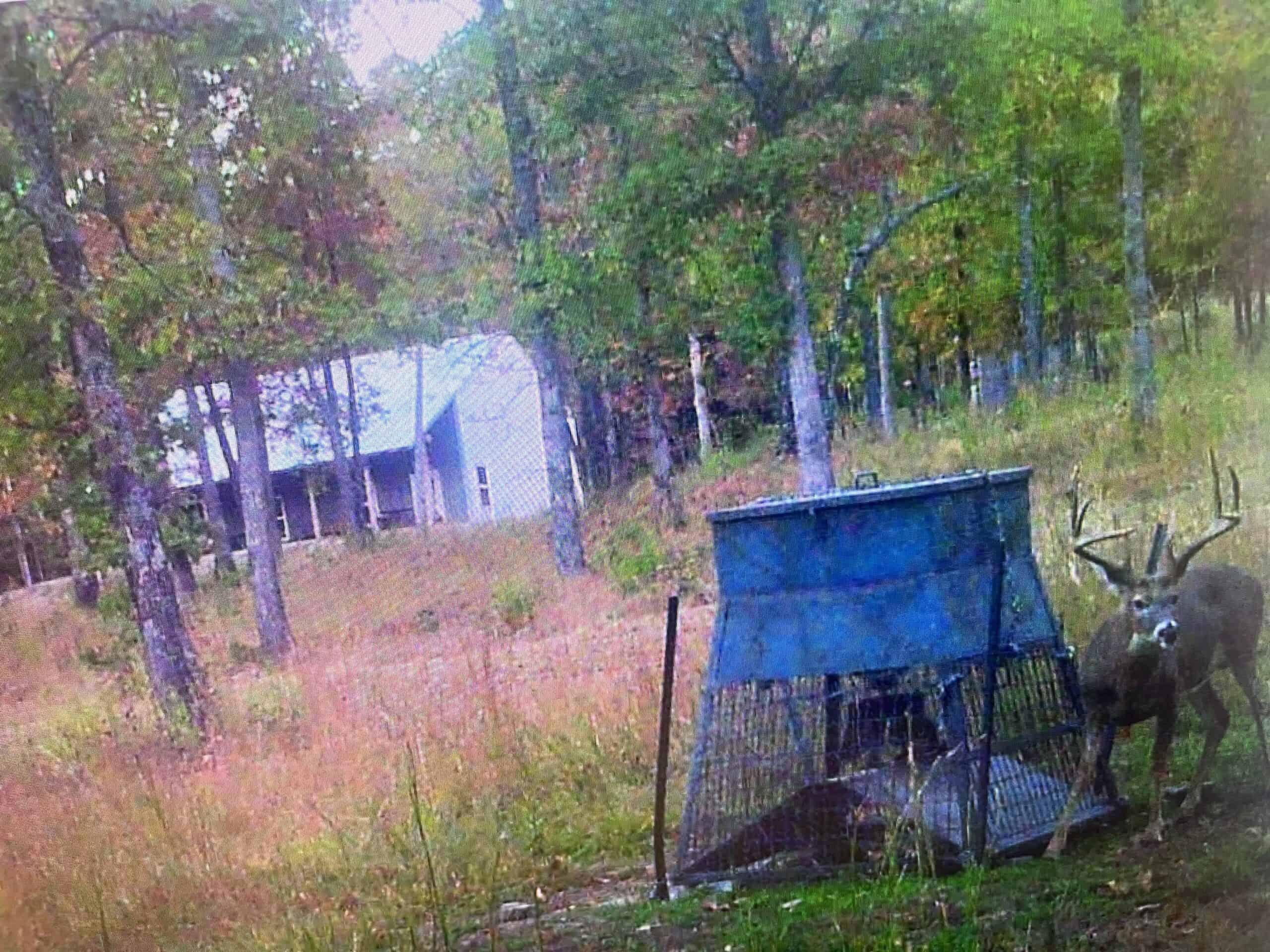 120+/- Acres Recreational Property For Sale in NWA