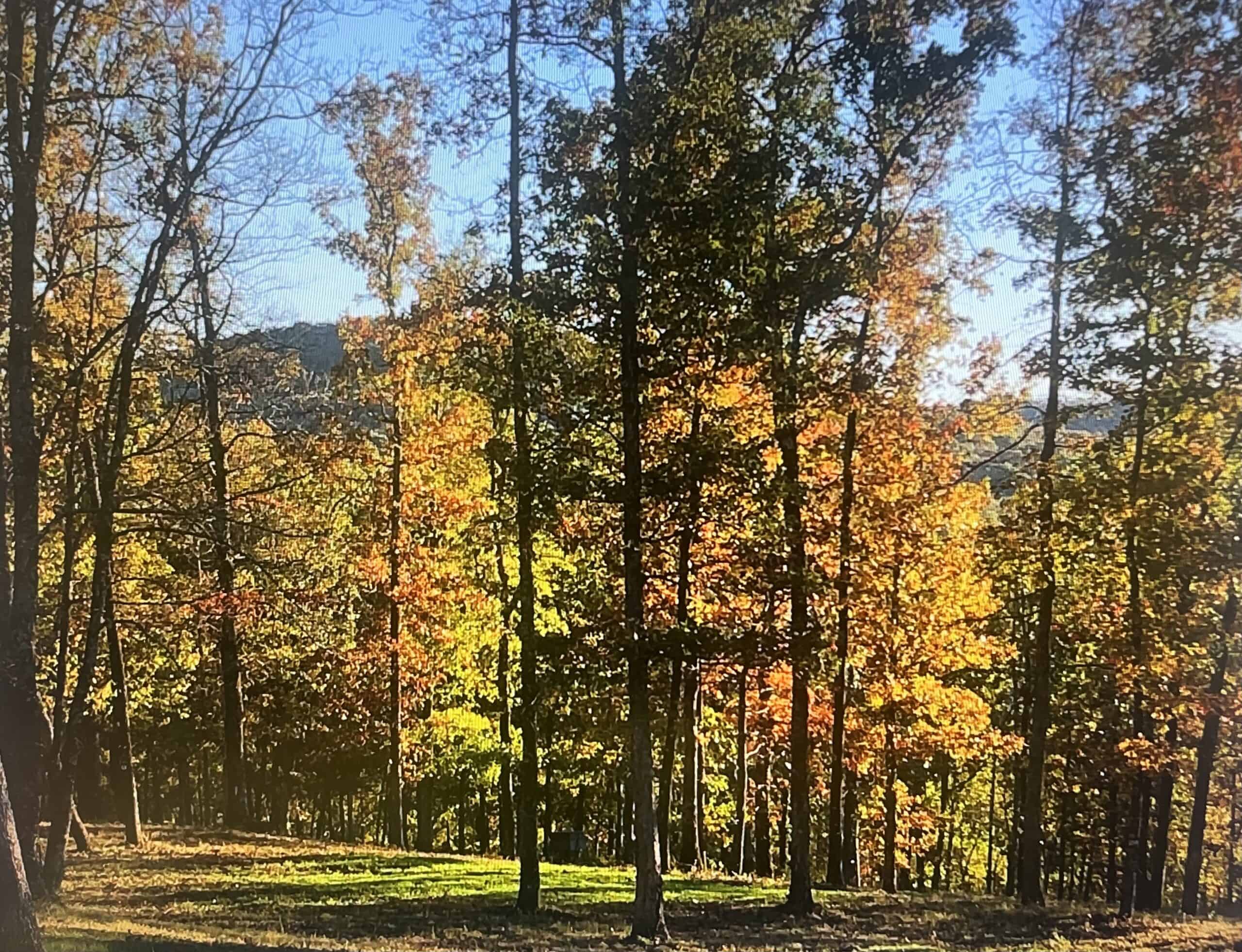 120+/- Acres Recreational Property For Sale in NWA