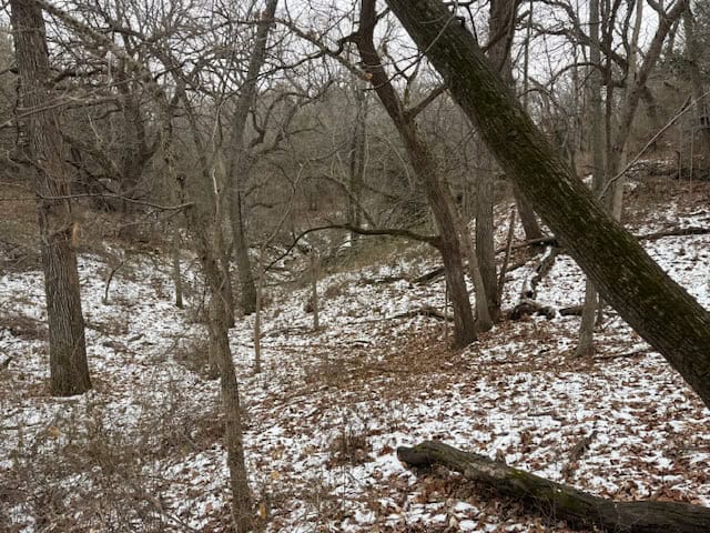 Premier Nebraska Hunting Retreat,  25 acres with Log Cabin