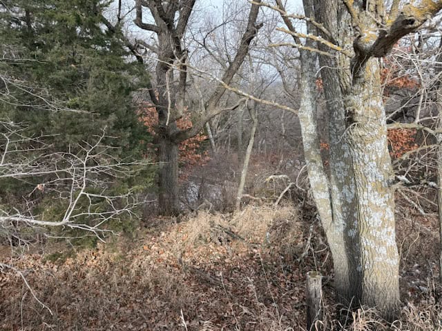 Premier Nebraska Hunting Retreat,  25 acres with Log Cabin