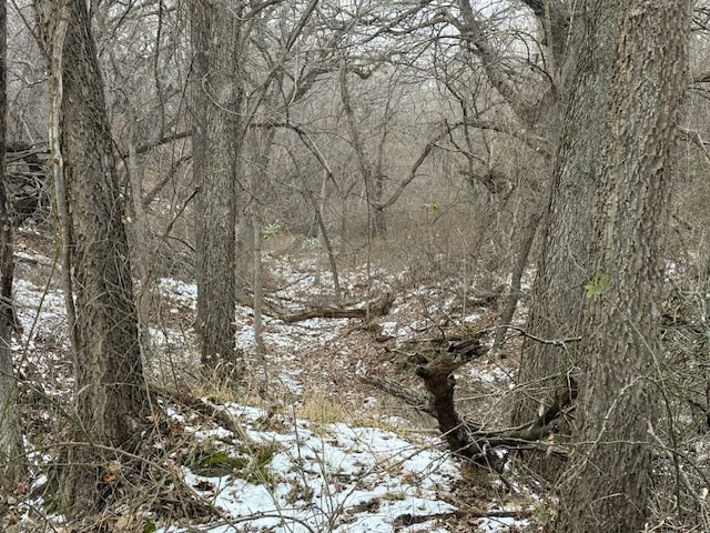 Premier Nebraska Hunting Retreat,  25 acres with Log Cabin