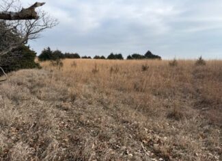 Premier Nebraska Hunting Retreat,  25 acres with Log Cabin