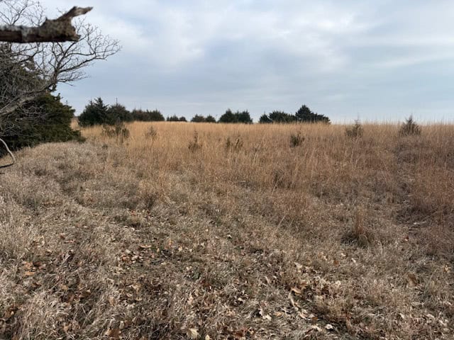 Premier Nebraska Hunting Retreat,  25 acres with Log Cabin