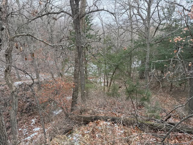 Premier Nebraska Hunting Retreat,  25 acres with Log Cabin