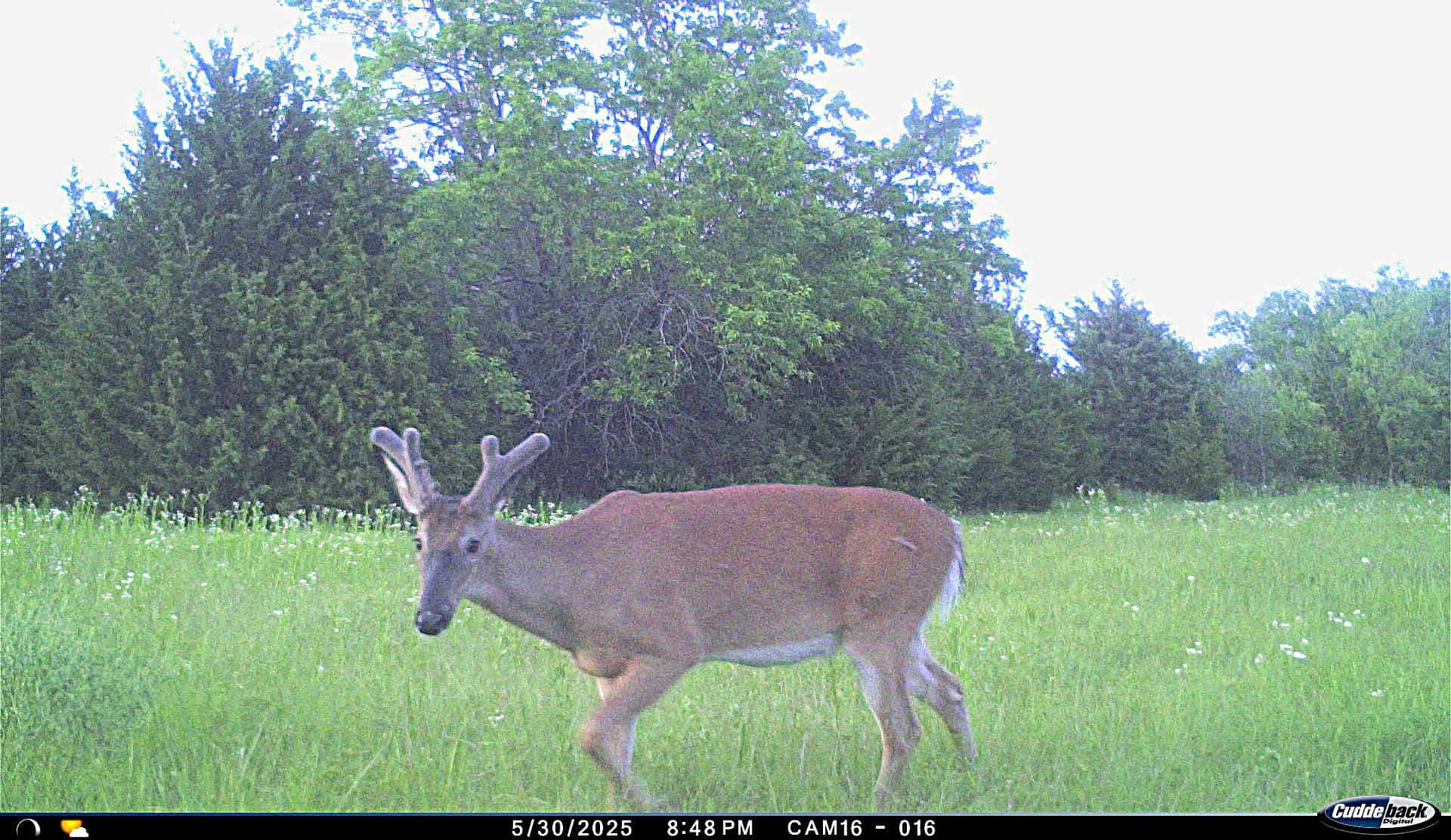 Exceptional 60-Acre Property Benton, KS