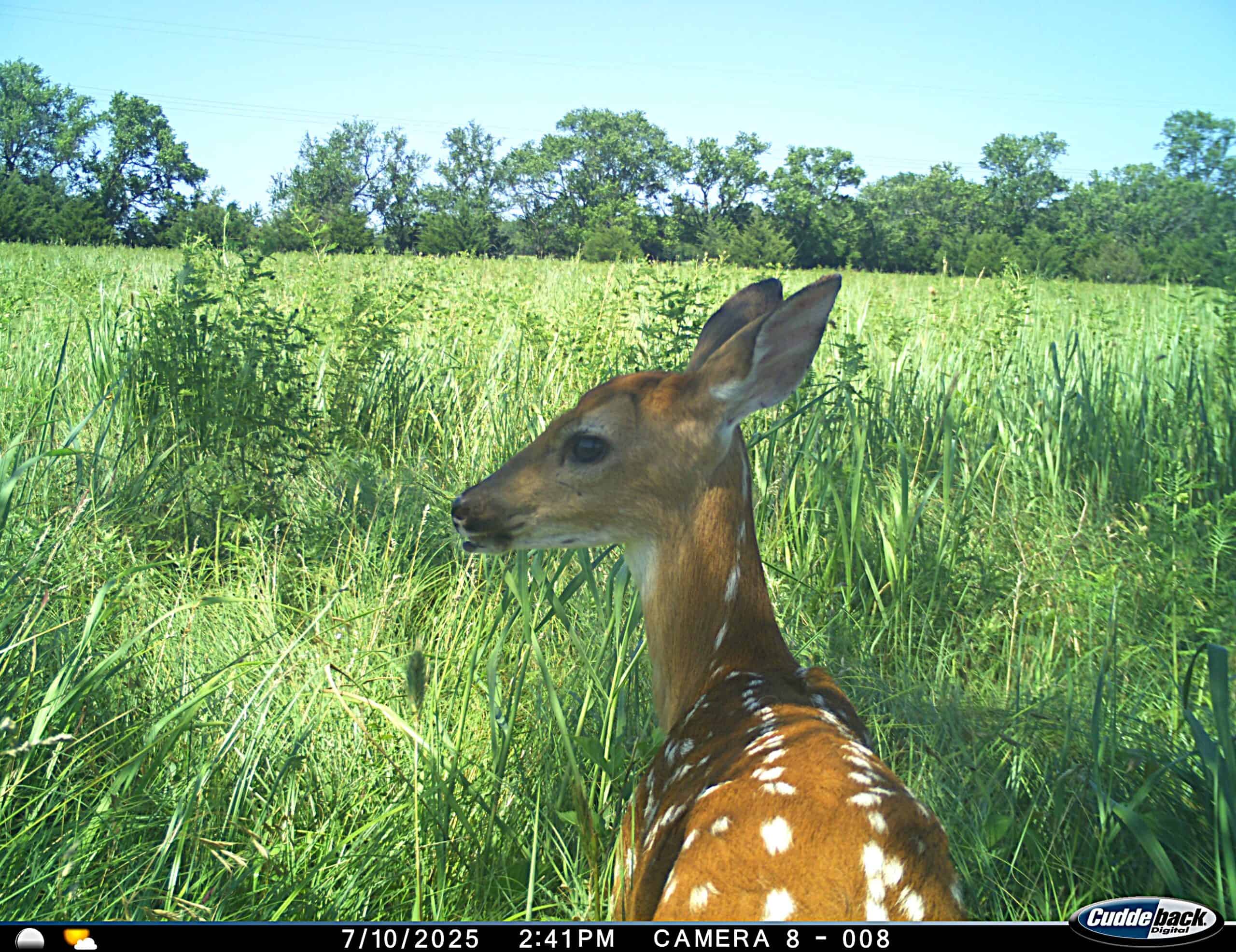 Exceptional 60-Acre Property Benton, KS