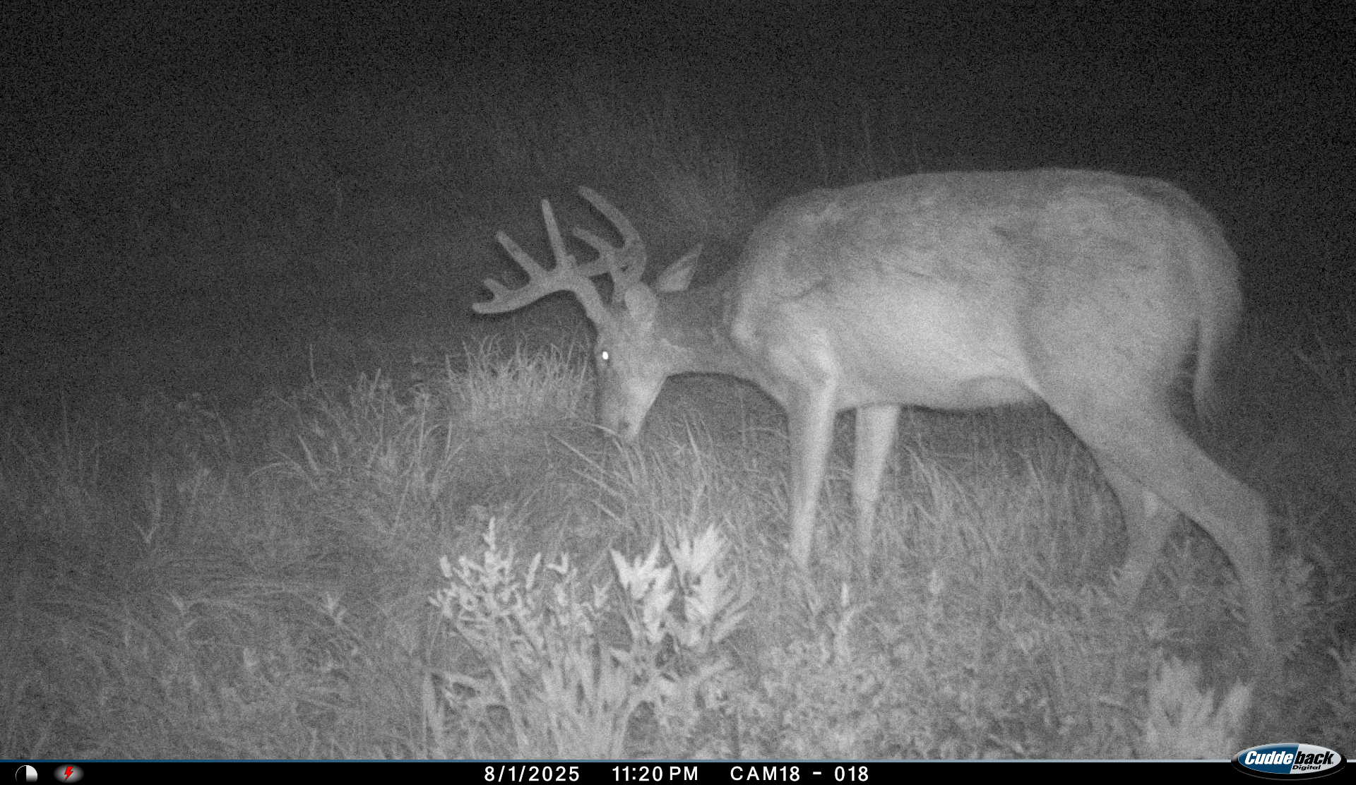 Exceptional 60-Acre Property Benton, KS