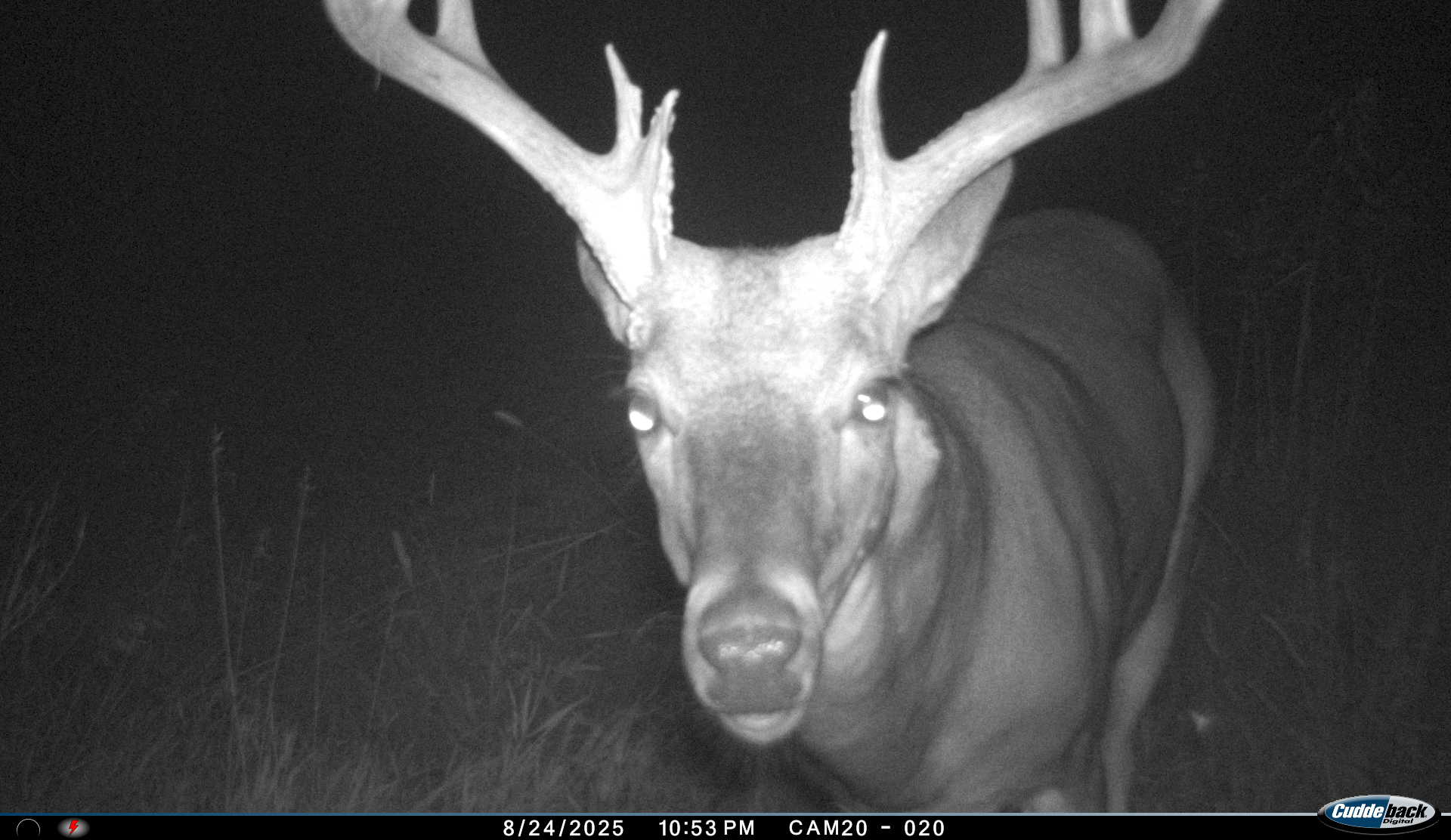 Exceptional 60-Acre Property Benton, KS