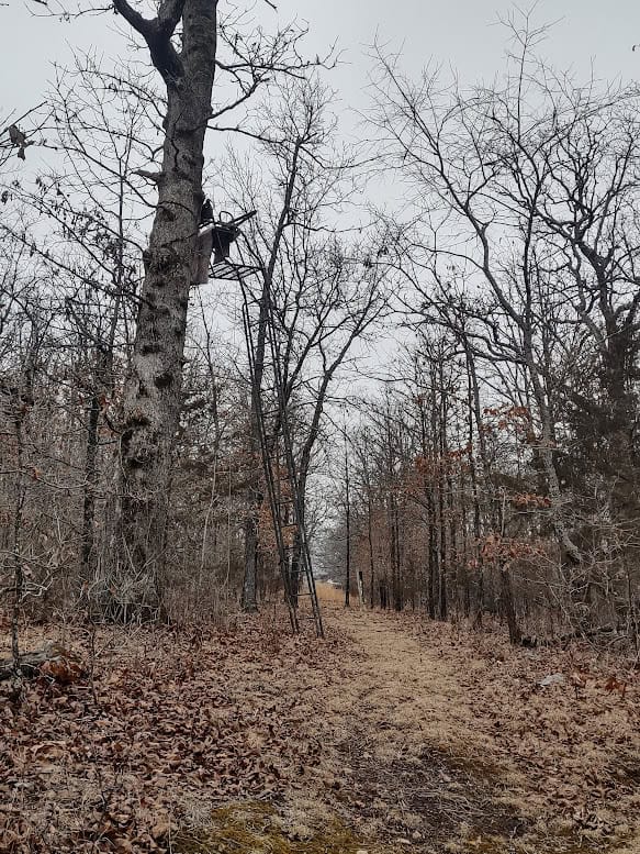Hunting Paradise with Country Home For SALE in Wright County Mo.