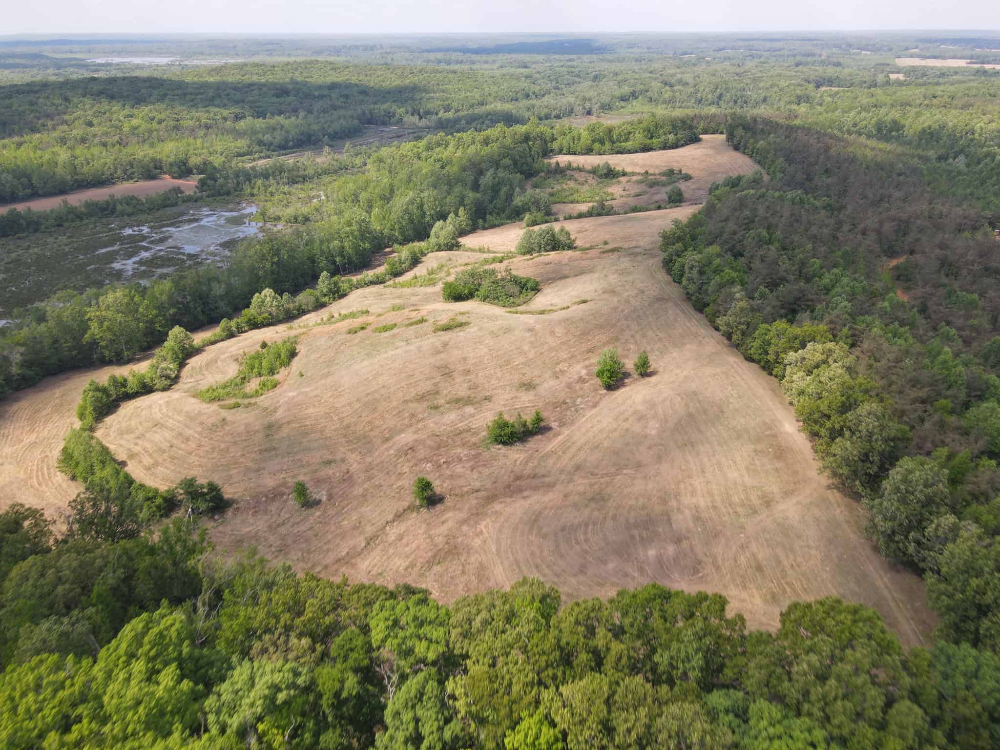 LAND FOR SALE IN TN, DEER & DUCK HUNTING, FENCED PASTURE