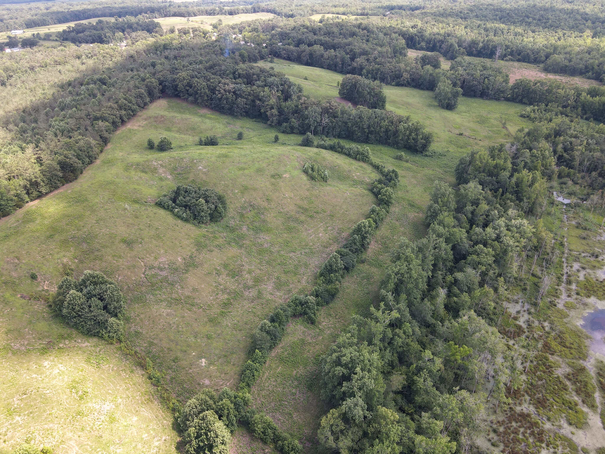 LAND FOR SALE IN TN, DEER & DUCK HUNTING, FENCED PASTURE