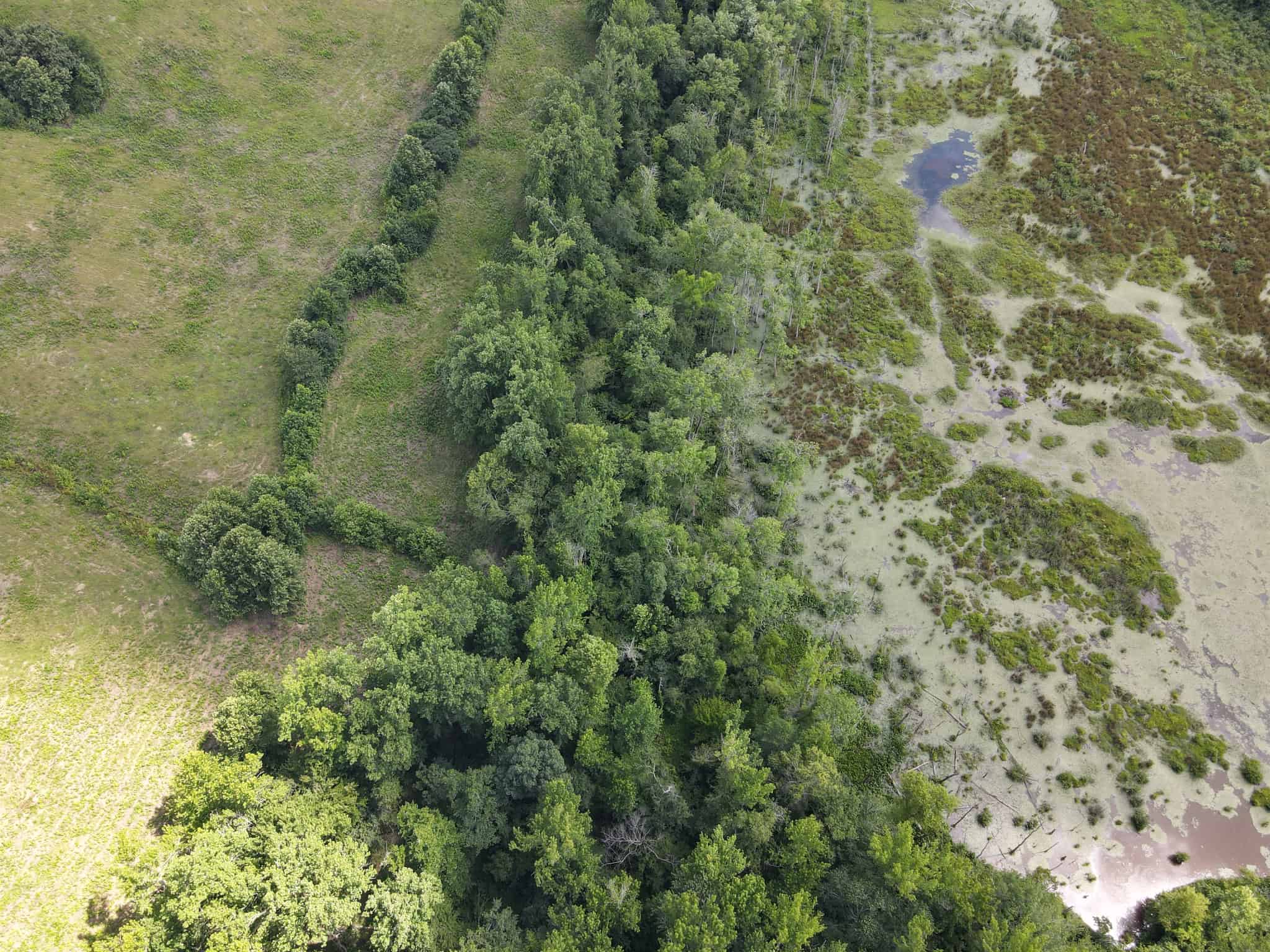 LAND FOR SALE IN TN, DEER & DUCK HUNTING, FENCED PASTURE