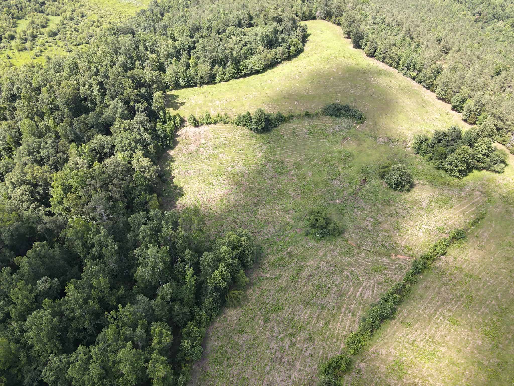 LAND FOR SALE IN TN, DEER & DUCK HUNTING, FENCED PASTURE