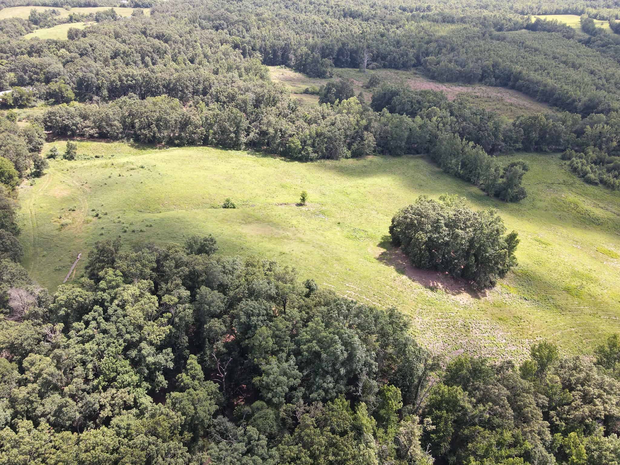 LAND FOR SALE IN TN, DEER & DUCK HUNTING, FENCED PASTURE