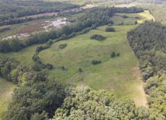 LAND FOR SALE IN TN, DEER & DUCK HUNTING, FENCED PASTURE