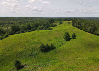 LAND FOR SALE IN TN, DEER & DUCK HUNTING, FENCED PASTURE