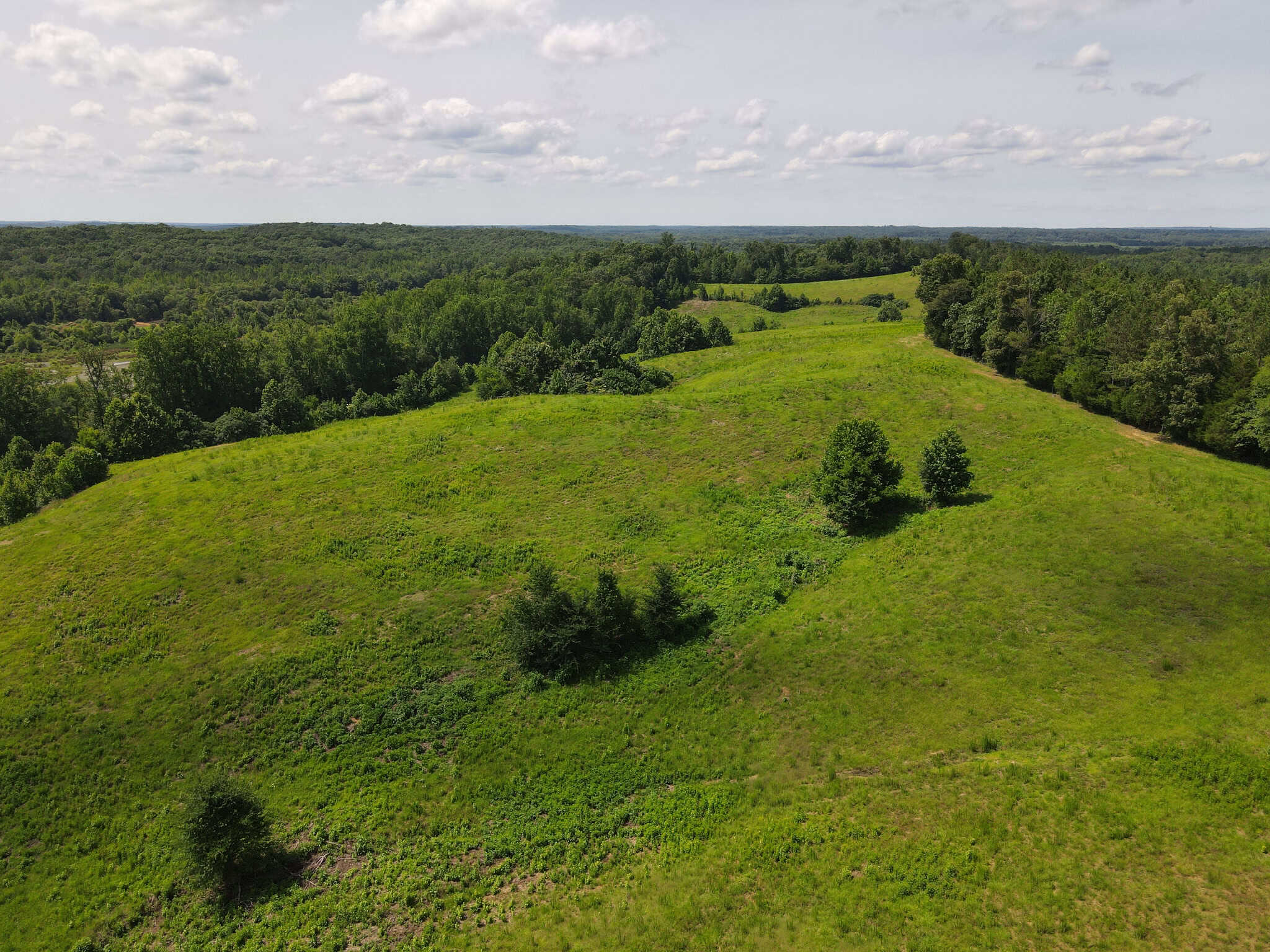 LAND FOR SALE IN TN, DEER & DUCK HUNTING, FENCED PASTURE