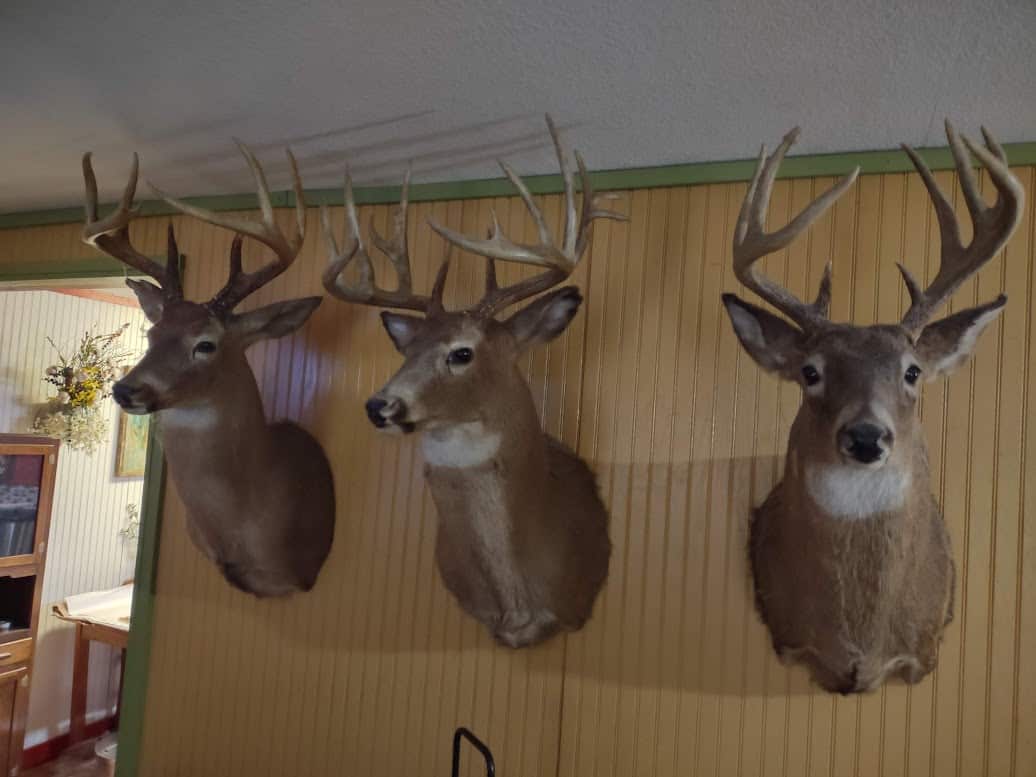 Hunting Paradise with Country Home For SALE in Wright County Mo.