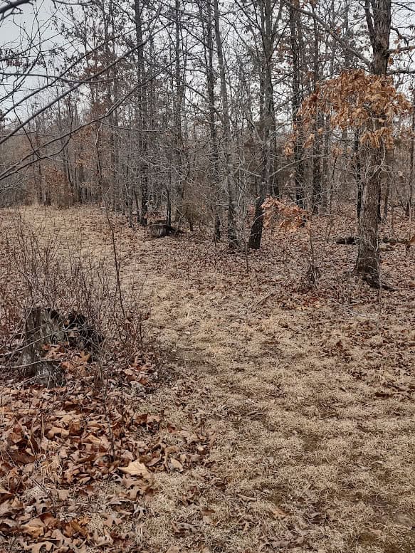 Hunting Paradise with Country Home For SALE in Wright County Mo.