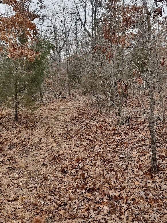 Hunting Paradise with Country Home For SALE in Wright County Mo.