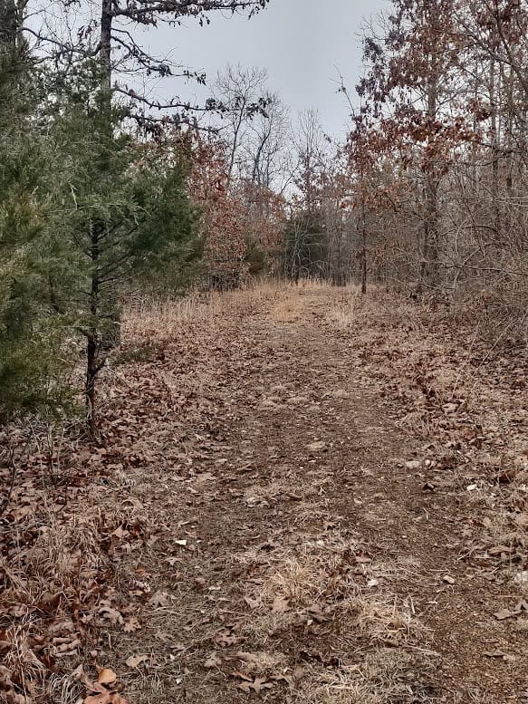 Hunting Paradise with Country Home For SALE in Wright County Mo.