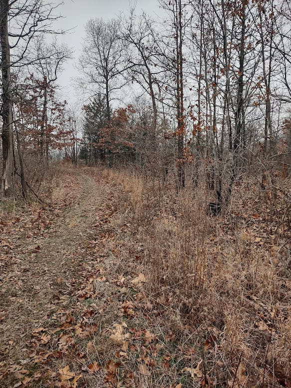 Hunting Paradise with Country Home For SALE in Wright County Mo.