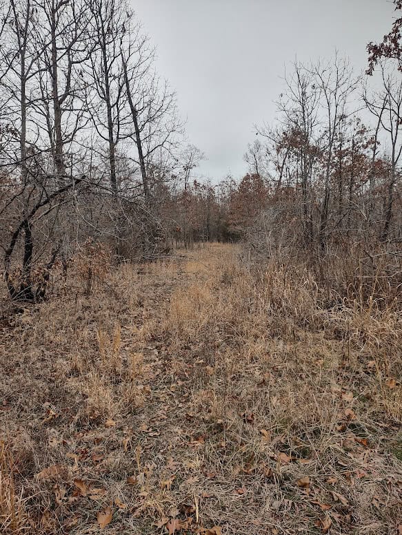Hunting Paradise with Country Home For SALE in Wright County Mo.