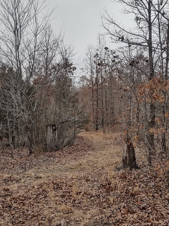 Hunting Paradise with Country Home For SALE in Wright County Mo.