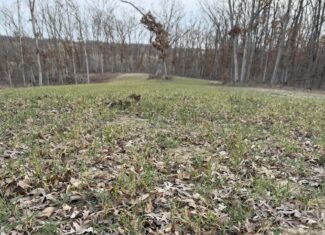 Northern Missouri Gem! 83 acres in Sullivan County