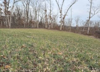 Northern Missouri Gem! 83 acres in Sullivan County