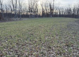Northern Missouri Gem! 83 acres in Sullivan County