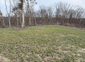 Northern Missouri Gem! 83 acres in Sullivan County