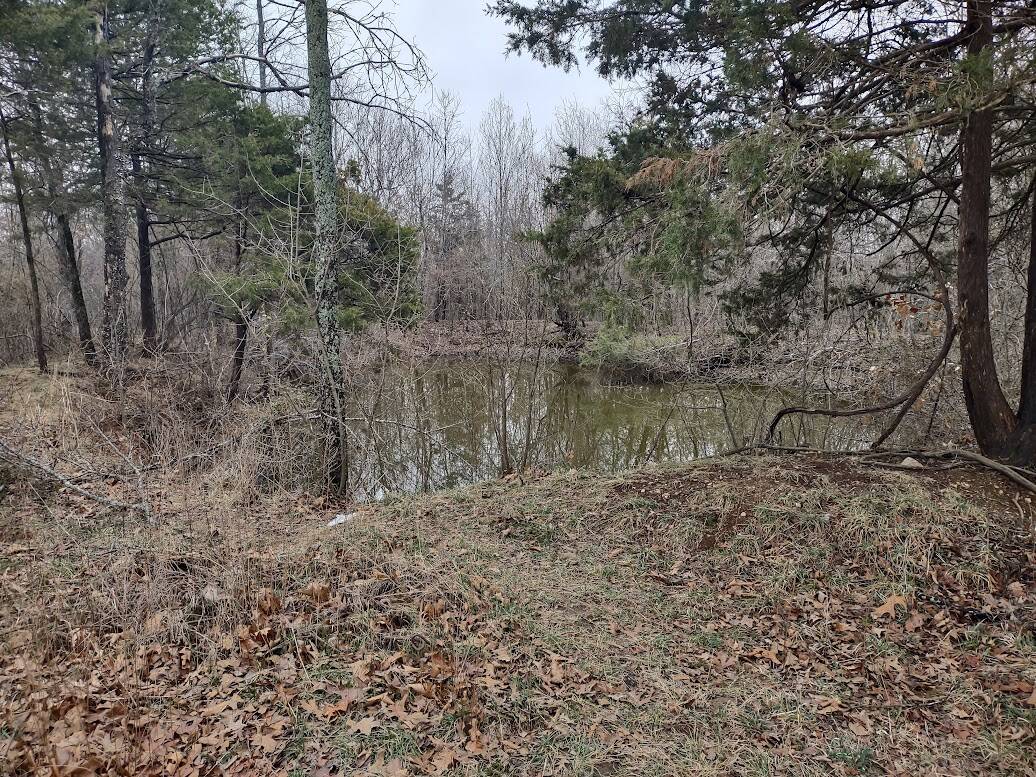 Hunting Paradise with Country Home For SALE in Wright County Mo.