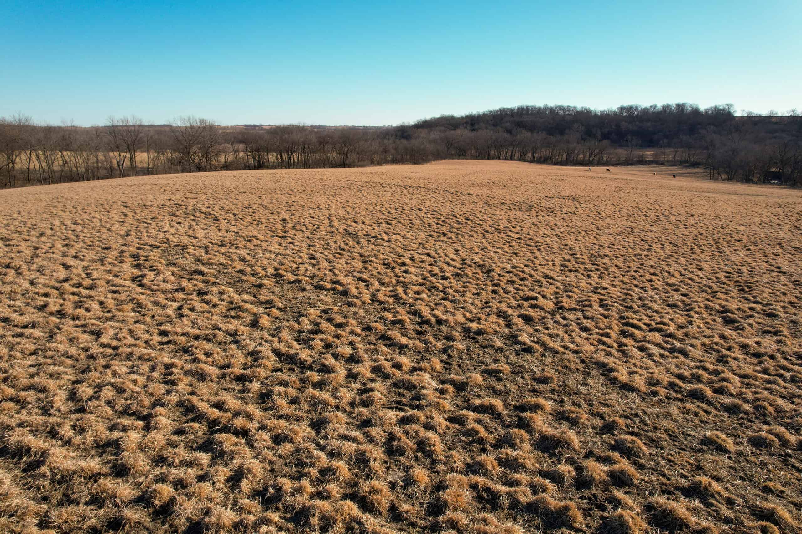 Productive Row Crop & Mixed-Use Investment Near the Mahaska County Line