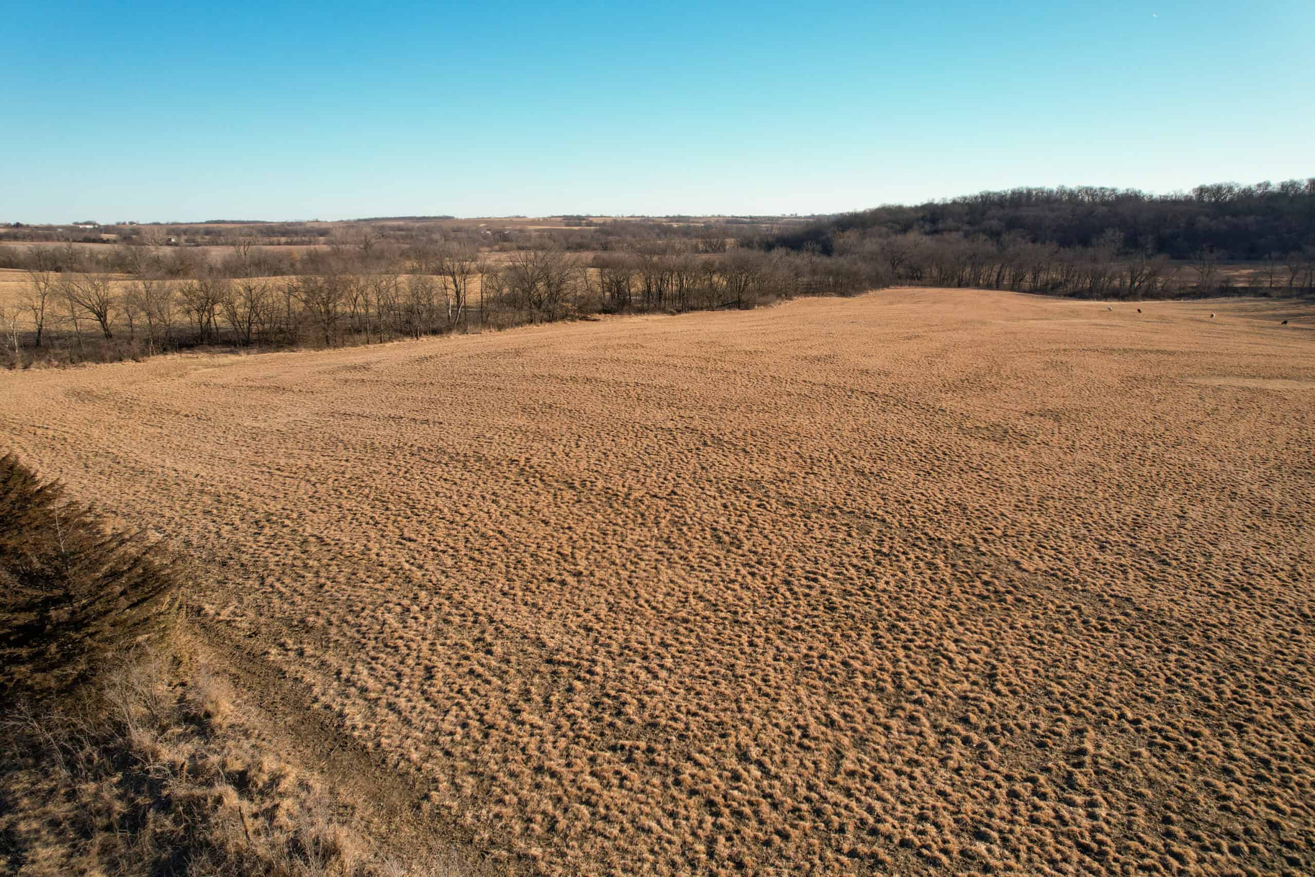 Productive Row Crop & Mixed-Use Investment Near the Mahaska County Line