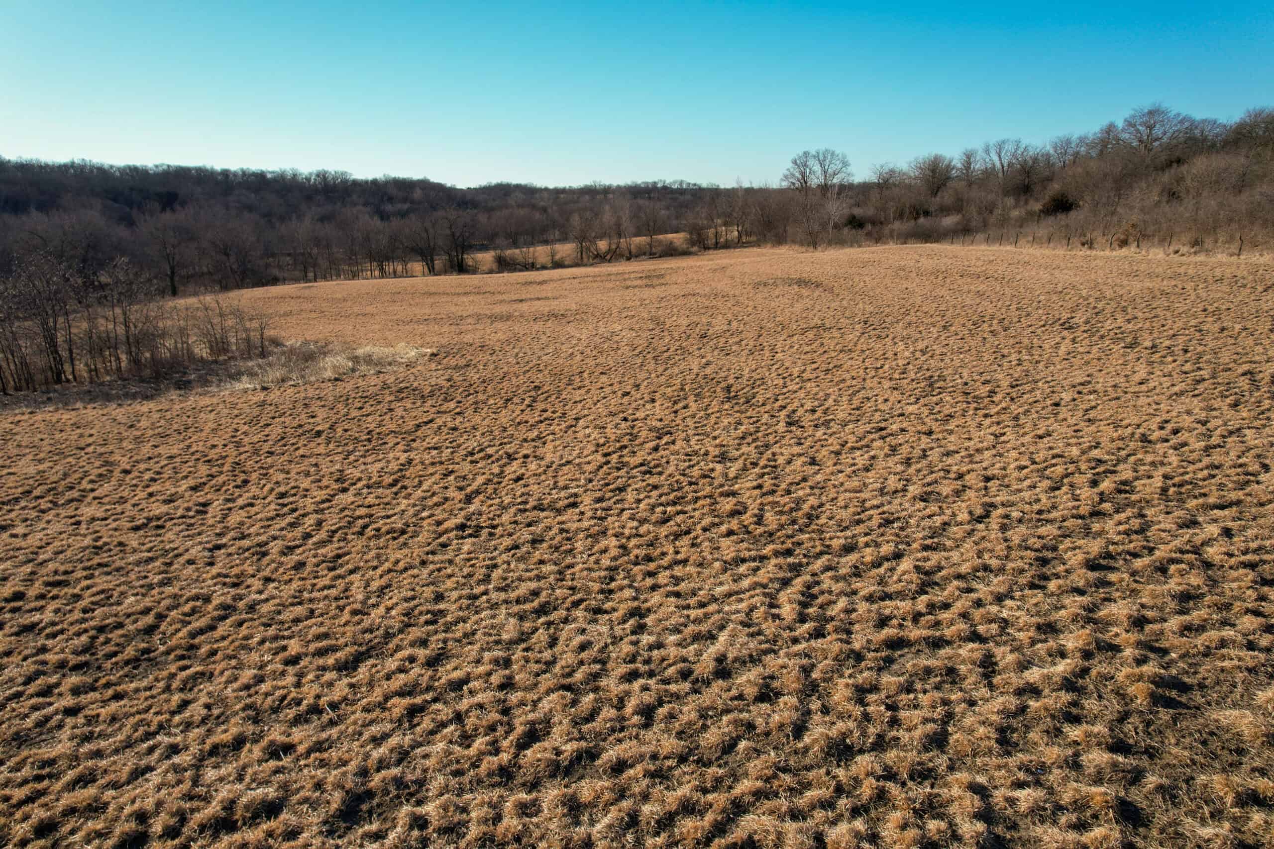 Productive Row Crop & Mixed-Use Investment Near the Mahaska County Line