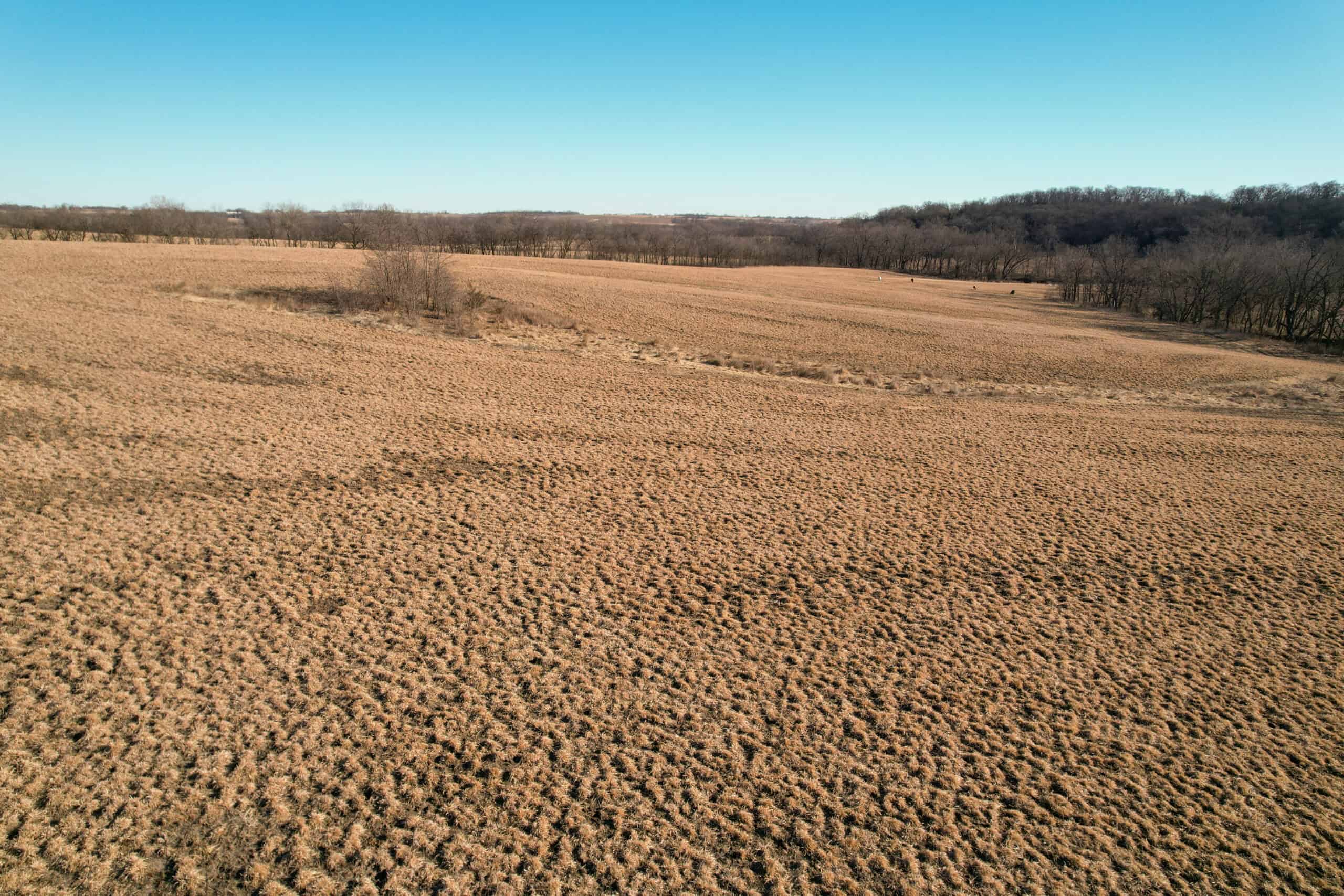 Productive Row Crop & Mixed-Use Investment Near the Mahaska County Line