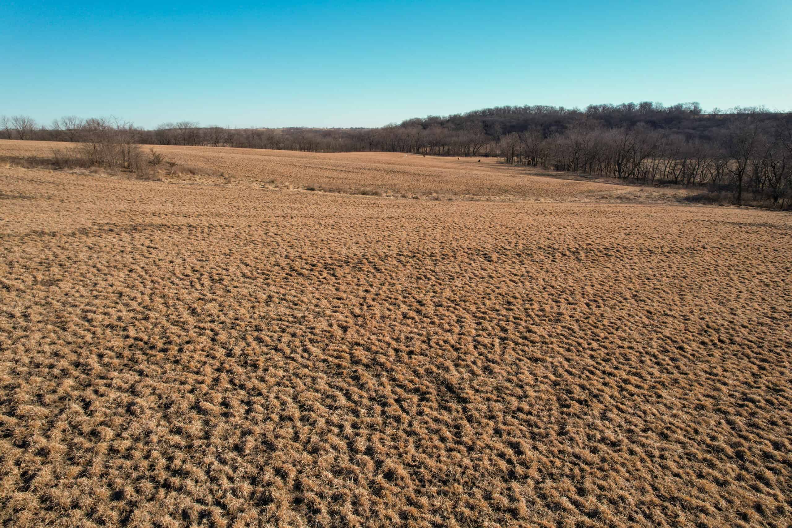 Productive Row Crop & Mixed-Use Investment Near the Mahaska County Line