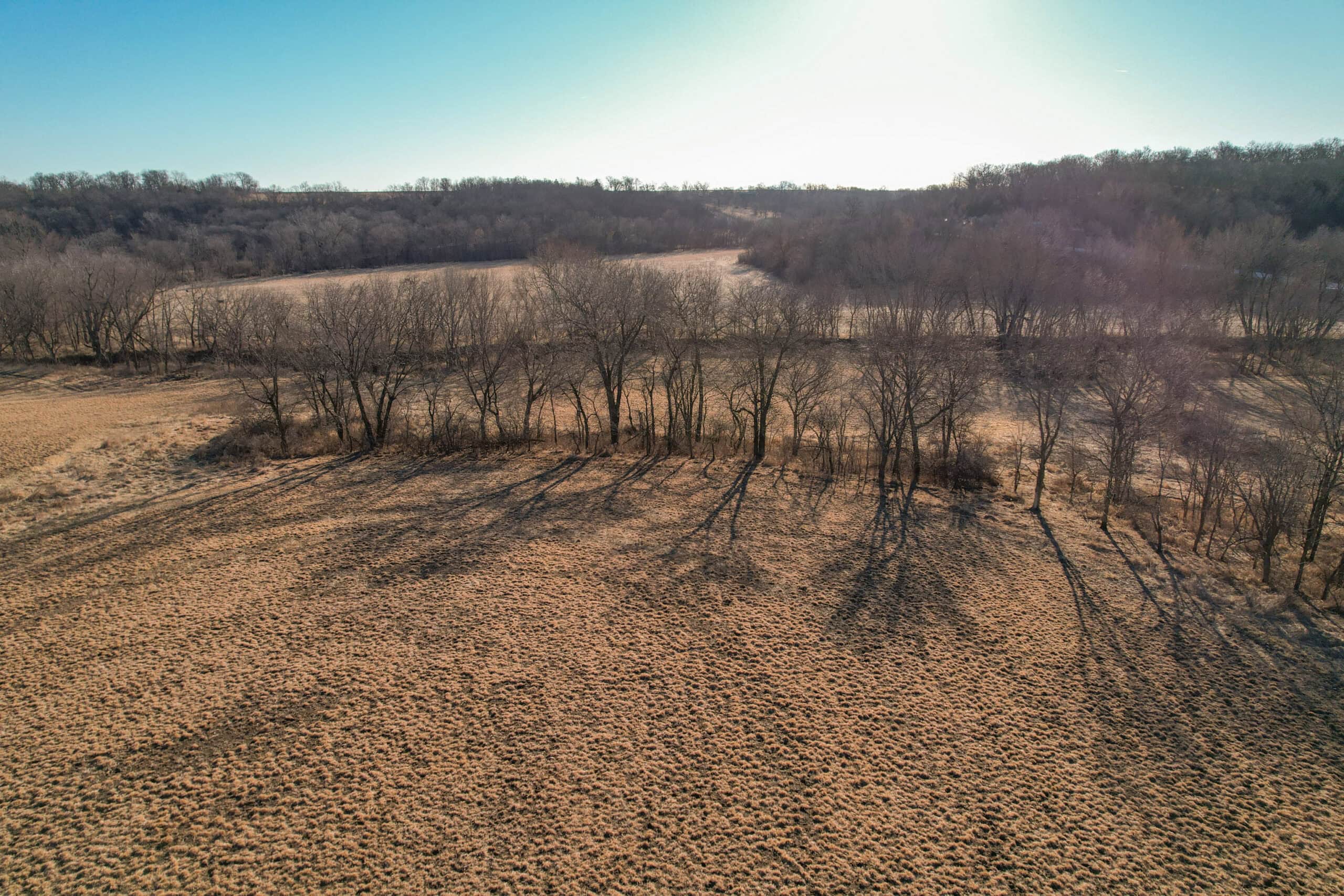 Productive Row Crop & Mixed-Use Investment Near the Mahaska County Line