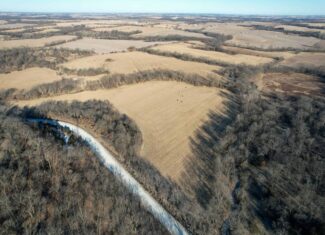 Productive Row Crop & Mixed-Use Investment Near the Mahaska County Line